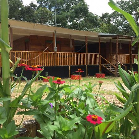 Hostal Cano Nevera La Macarena エクステリア 写真