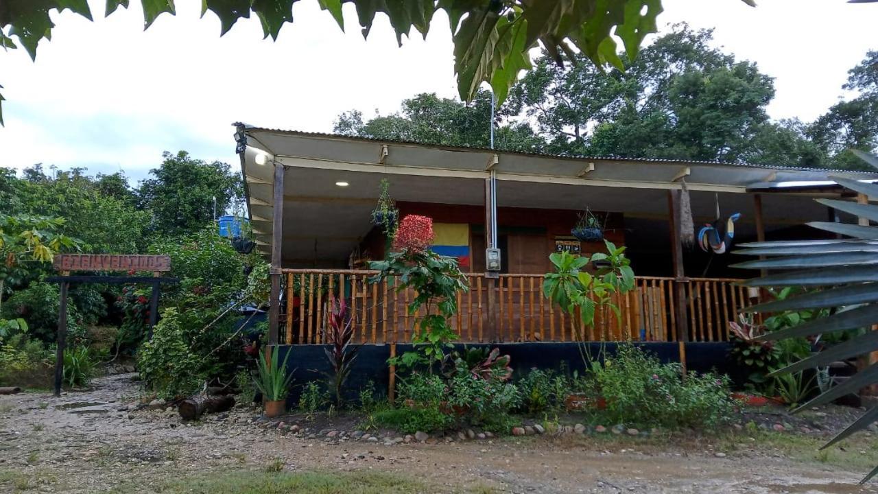 Hostal Cano Nevera La Macarena エクステリア 写真