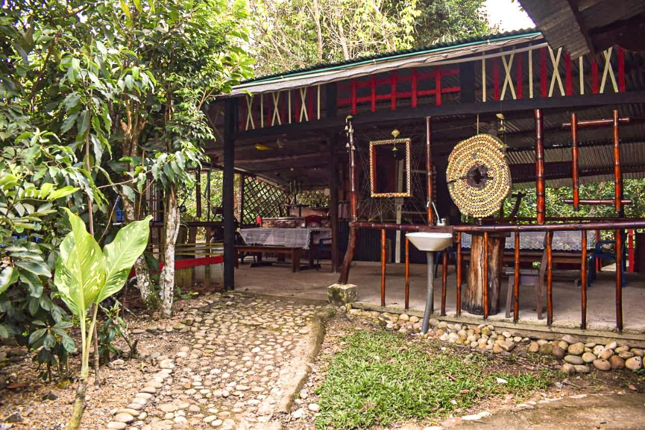 Hostal Cano Nevera La Macarena エクステリア 写真